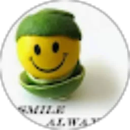 Review From wionodjojo