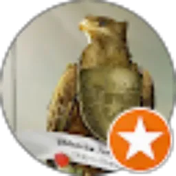 Review From Rois Aam