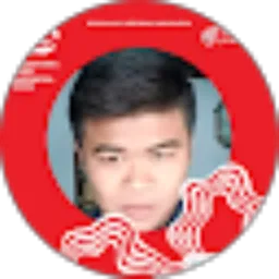 Review From Budi Mulyanto