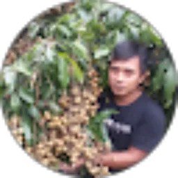 Review From A Rizky
