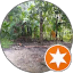 Review From Abdul Malik