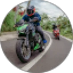 Review From Erik Arya Wijaya