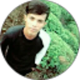 Review From Didi Fernandes