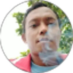 Review From Dedi Setiawan