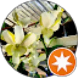 Review From kuncoro Pr