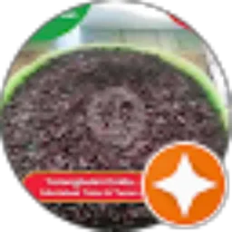 Review From Muhamad arjun Muhamad arjun