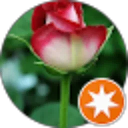 Review From Nasrudin B6