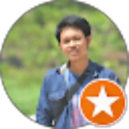 Review From THE DEDI
