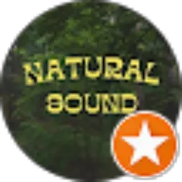 Review From Natural Sound