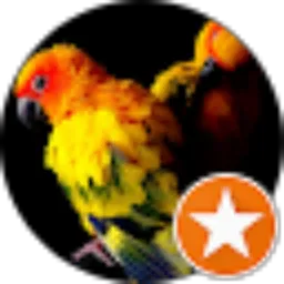 Review From Ismunandar