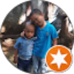 Review From Kemangi Tech
