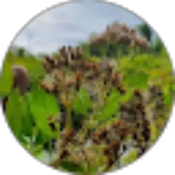 Review From Unknown 95