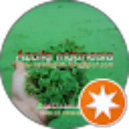 Review From azolla Indonesia