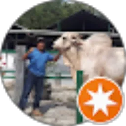 Review From rudy sulistyo