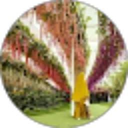 Review From MamiWBW's Channel