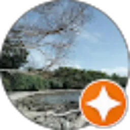 Review From Alfin Satya