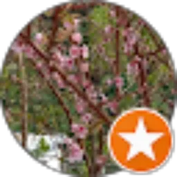 Review From Maria Magdalena