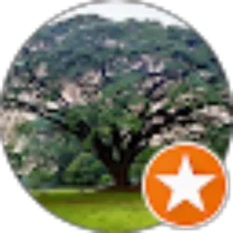 Review From Lucky Ronald