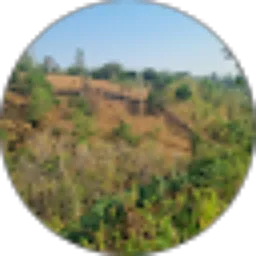 Review From Junaidi