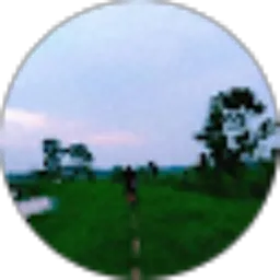 Review From Pandu Lintang Nugroho