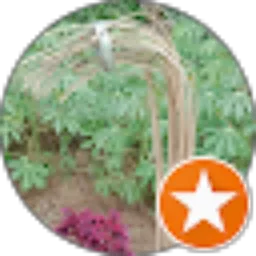 Review From Dudu Arunalif (Duduarunalif)