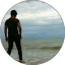 Review From Dwi Mulyanto
