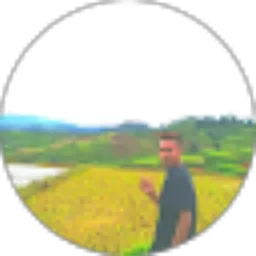 Review From Agustinus n segu Anjas tanalangi
