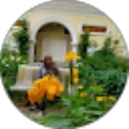 Review From Ulfatun Khasanah