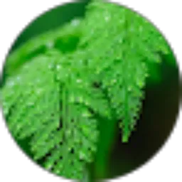 Review From Abdul Malik
