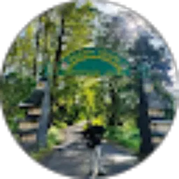 Review From Nauffal Fiky