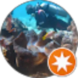 Review From Alfato