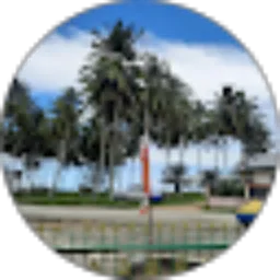 Review From Ardian dian