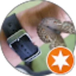 Review From Sjach 77