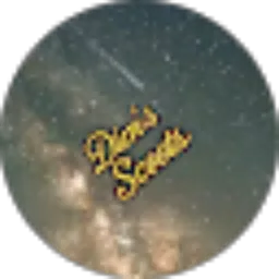 Review From dims scoots