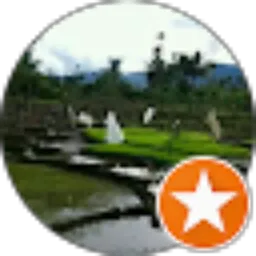 Review From irham lubis irham lubis