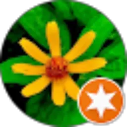 Review From Niesva