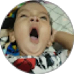 Review From wahyu wibisono