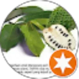 Review From Andi Muhammad salim