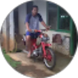 Review From bambang eko purnomo