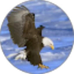 Review From EagleHawkz 25 (EagleHawkz25)