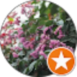 Review From Nurma S