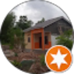 Review From MASHUR