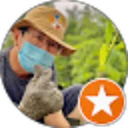 Review From Edi Tjen