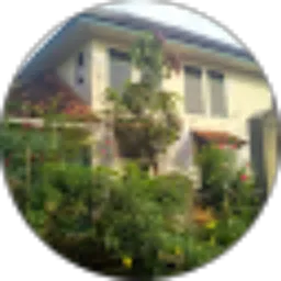 Review From Arif Thamrin