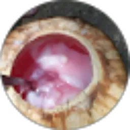 Review From IPANk IPANK AJA