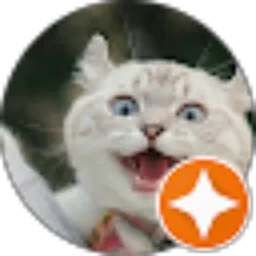 Review From XaviZ