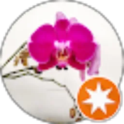 Review From Adi S