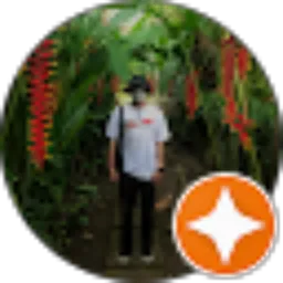 Review From Dimas Arief Wahyu Setyawan