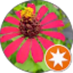 Review From grivan yogi