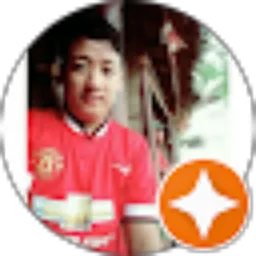 Review From Aris Januarism
